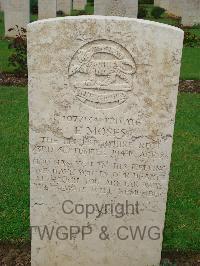 Coriano Ridge War Cemetery - Moses, Edwin