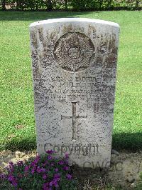 Coriano Ridge War Cemetery - Muldoon, James