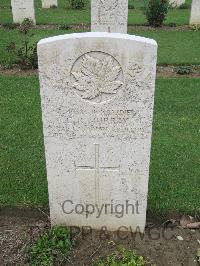 Coriano Ridge War Cemetery - Murray, Charles Richard