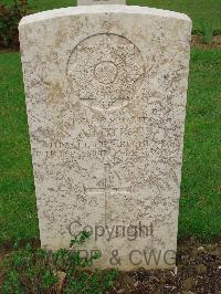 Coriano Ridge War Cemetery - Myers, Arthur