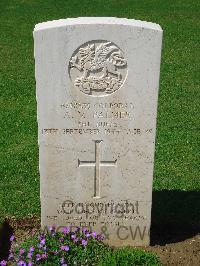 Coriano Ridge War Cemetery - Palmer, Albert Victor