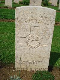 Coriano Ridge War Cemetery - Pearse, Percival George Henry