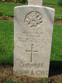 Coriano Ridge War Cemetery - Plumb, William