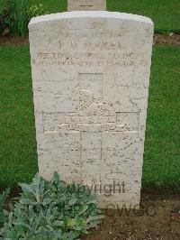 Coriano Ridge War Cemetery - Pooley, Philip David