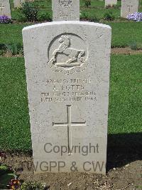 Coriano Ridge War Cemetery - Potts, Albert