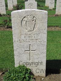 Coriano Ridge War Cemetery - Price, Dennis