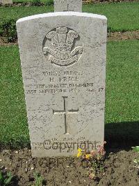 Coriano Ridge War Cemetery - Price, Henry