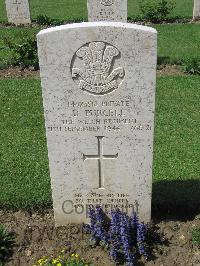 Coriano Ridge War Cemetery - Purcell, Donald