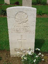 Coriano Ridge War Cemetery - Purcell, Gerald D.