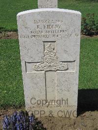 Coriano Ridge War Cemetery - Ridley, Robert