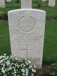 Coriano Ridge War Cemetery - Roach, Ronald William