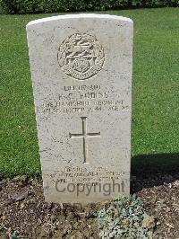 Coriano Ridge War Cemetery - Robins, Robin Clive