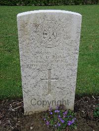 Coriano Ridge War Cemetery - Ross, Stuart Sydney Douglas