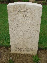 Coriano Ridge War Cemetery - Scales, Albert Alan