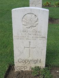 Coriano Ridge War Cemetery - Shaule, Lynn Augustus