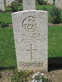 Coriano Ridge War Cemetery - Shilton, John Thomas