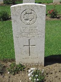 Coriano Ridge War Cemetery - Tatlow, Stanley Herbert