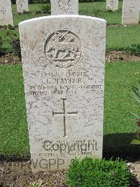 Coriano Ridge War Cemetery - Taylor, George