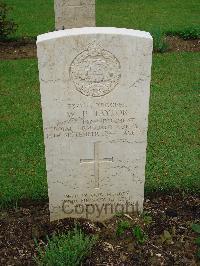 Coriano Ridge War Cemetery - Taylor, Walter Pruce