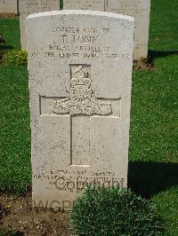 Coriano Ridge War Cemetery - Tobin, Thomas