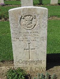 Coriano Ridge War Cemetery - Truslove, Raymond