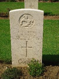 Coriano Ridge War Cemetery - Webster, Alfred Harry