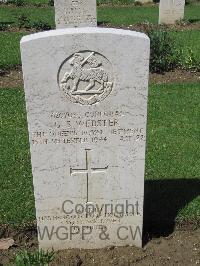 Coriano Ridge War Cemetery - Webster, George Stanley