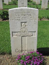 Coriano Ridge War Cemetery - Whitty, George Thomas