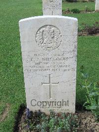 Coriano Ridge War Cemetery - Willcocks, Edward Jack