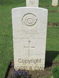 Coriano Ridge War Cemetery - Williams, Thomas John