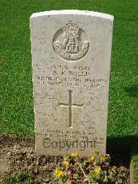 Coriano Ridge War Cemetery - Willis, Albert Frank