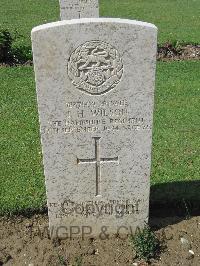 Coriano Ridge War Cemetery - Wilson, John Henry