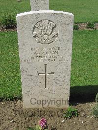 Coriano Ridge War Cemetery - Wilson, William