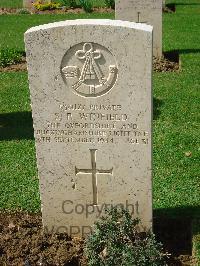 Coriano Ridge War Cemetery - Winfield, Stanley Robert