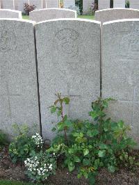 Bethune Town Cemetery - Fox, William