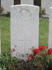 Fosse No.10 Communal Cemetery Extension Sains-En-Gohelle - McIntosh, James Herbert