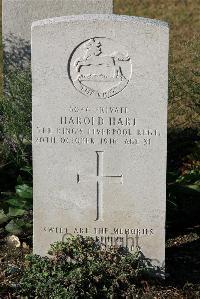 St. Sever Cemetery Rouen - Hart, Harold