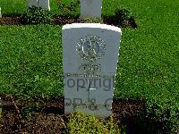 Belgrade War Cemetery - Deppe, R E