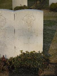 Belgrade War Cemetery - Steele, Charles Gibson