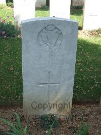 Blighty Valley Cemetery - Collins, Peter