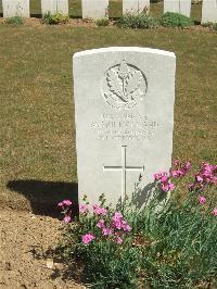 Blighty Valley Cemetery - Mulholland, M