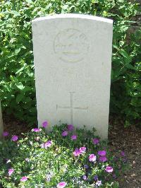 Blighty Valley Cemetery - Shelton, S C