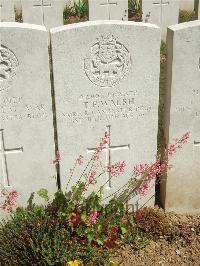 Blighty Valley Cemetery - Walsh, T F