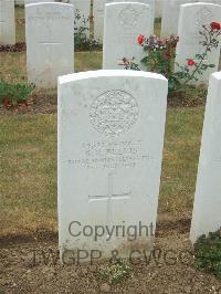 Connaught Cemetery - Bellis, R R