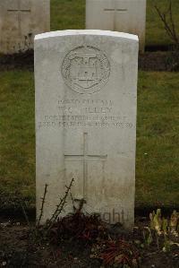 Ancre British Cemetery Beaumont-Hamel - Tilley, W C