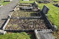 Harrogate (Stonefall) Cemetery - Stewart, Fred