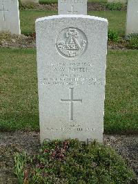 Reichswald Forest War Cemetery - Foster, Alfred William