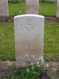 Reichswald Forest War Cemetery - Paine, Peter John