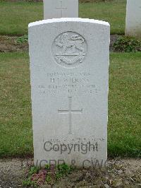 Reichswald Forest War Cemetery - Wilkins, Harold Stanley