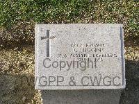 Twelve Tree Copse Cemetery - Higgins, P
